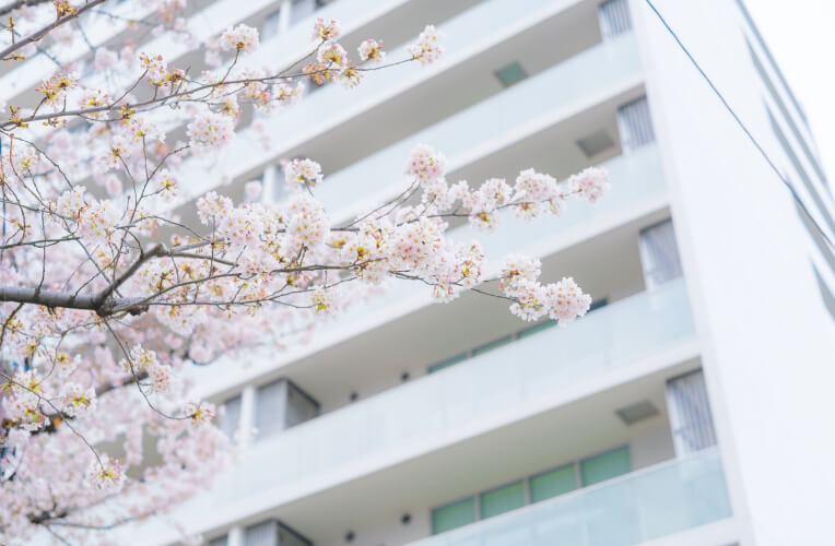 ジャンプシステム&合格発表前無料予約