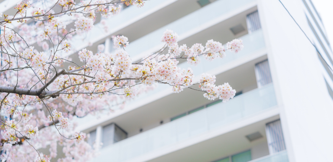 学生マンションの室内写真
