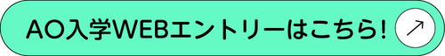 AOWebEntry.png
