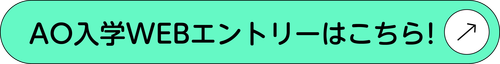 AOWebEntry.png